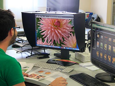 banco-fotografias-botanicas