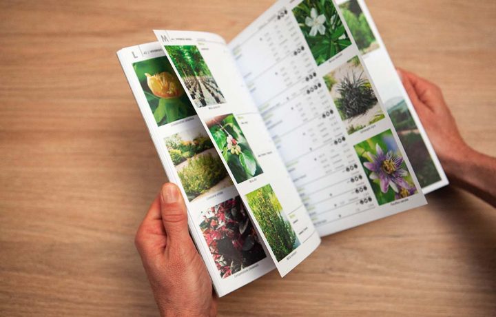 Cataloghi e pubblicazioni