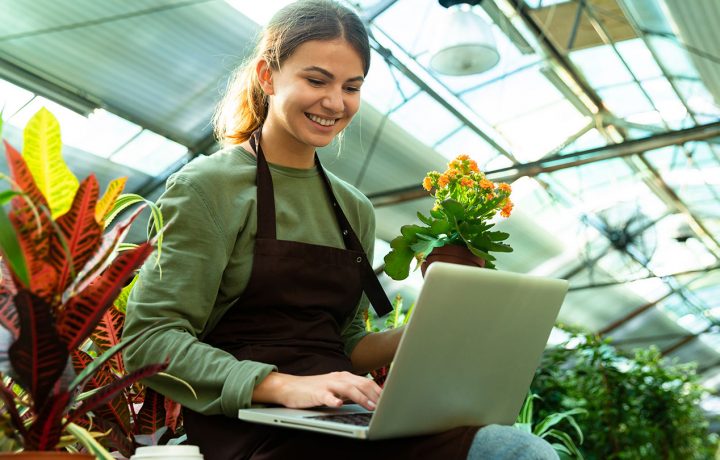 gestion-redes-sociales-contenidos