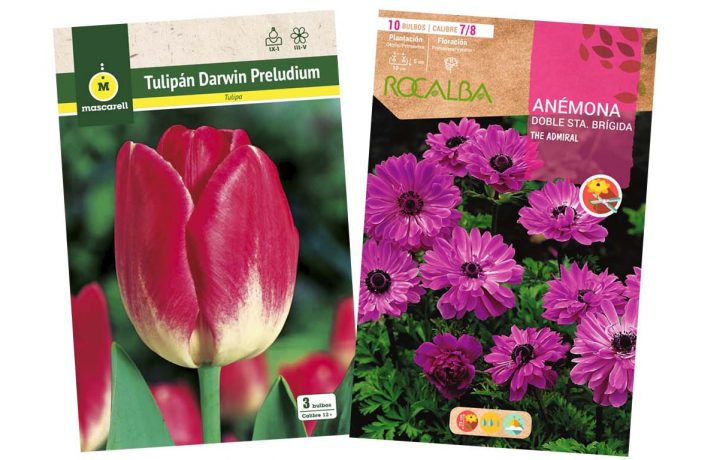 Fogli per la vendita di bulbi e piante in zolla