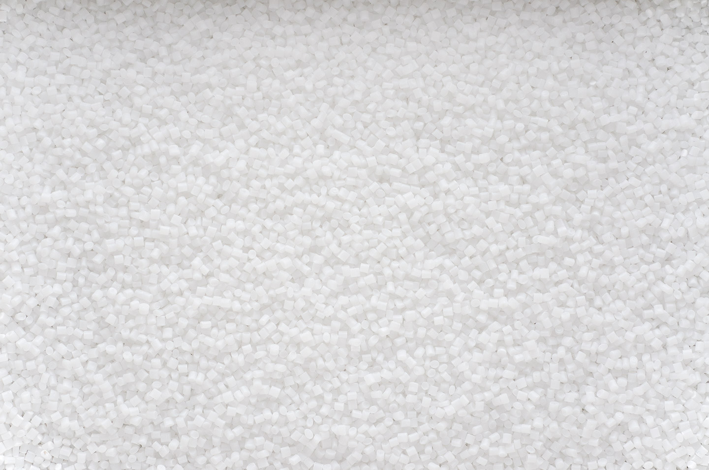 etiquetas de plastico plantas