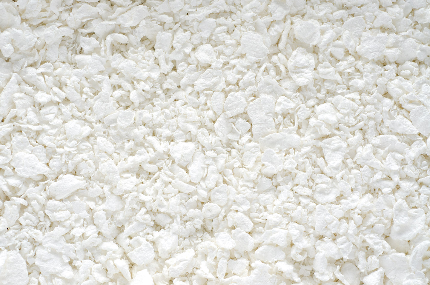 etiquetas para plantas carton