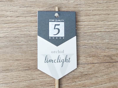 etiquetas plantas personalizadas