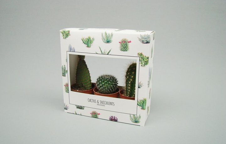 packaging para plantas