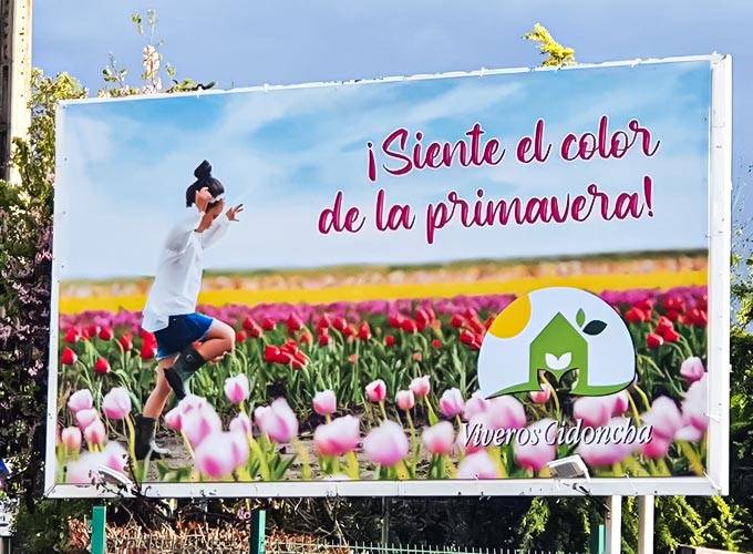 lona_cidoncha_680x500