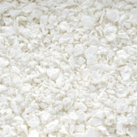 etiquetas para plantas carton