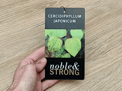 etiqueta holográfica lenticular