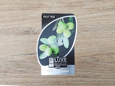 etiquetas plantas con formas